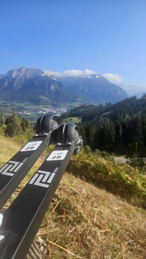 FF 360 Flow Classic rulleski med FIS-løpenummer #29, brukte World Cup-ski i alpint landskap